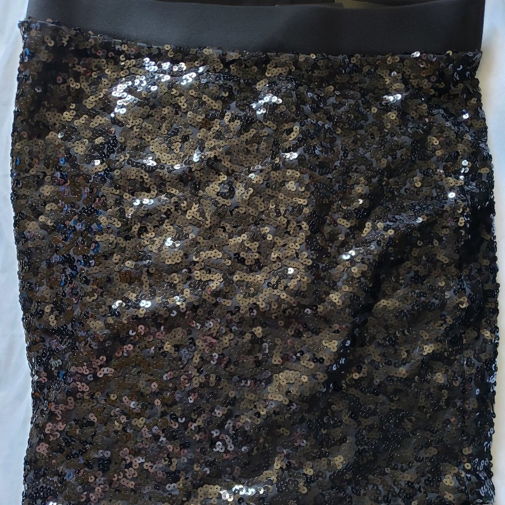 Black Sequins Skirt